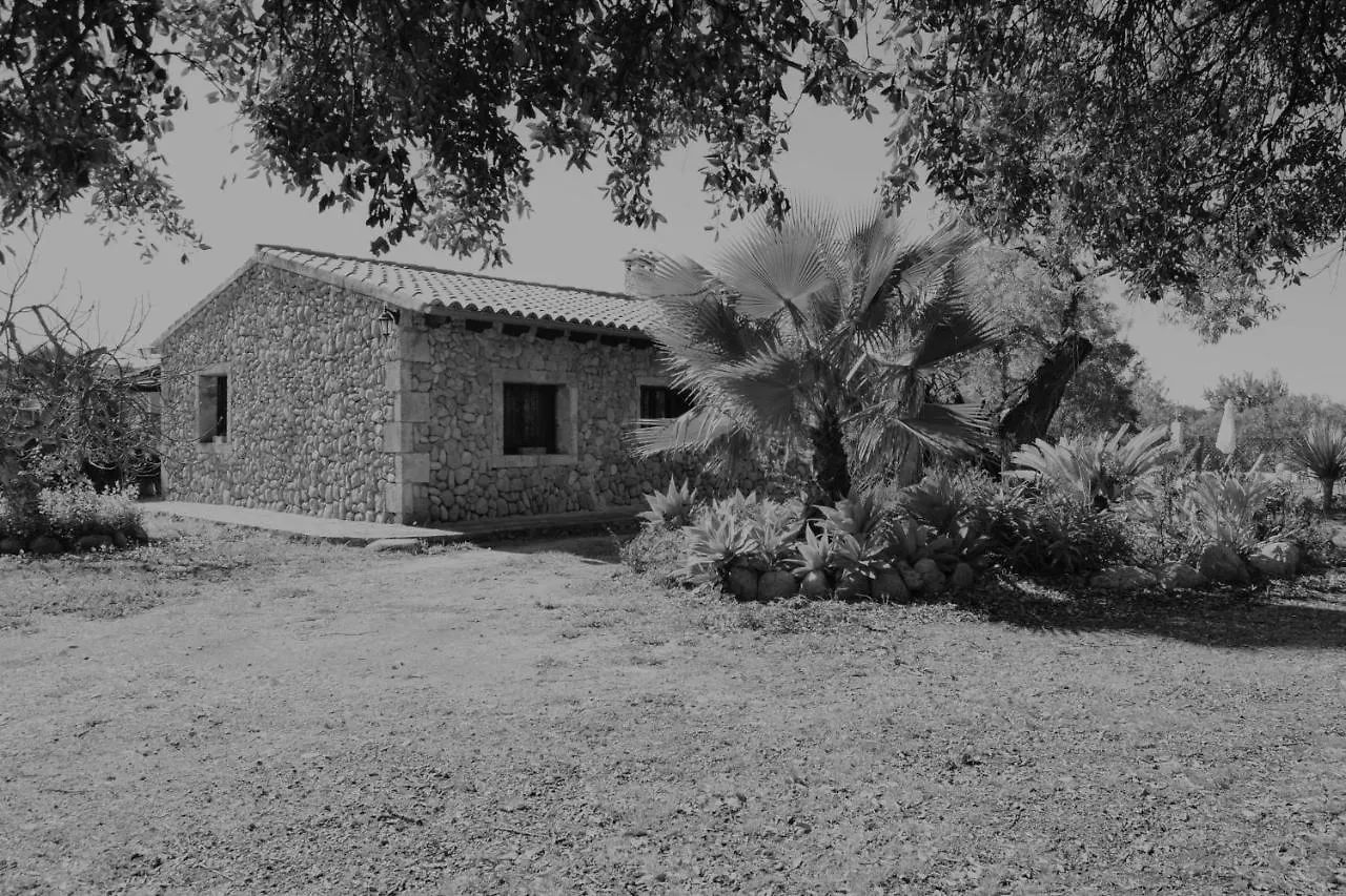 115 Finca Sa Figuera Blana Etv2736 By Mallorca Charme Buger Holiday home