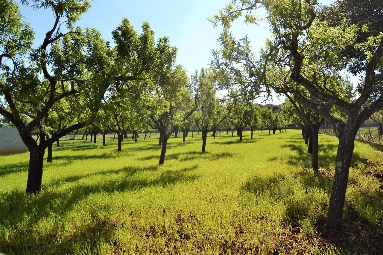 Prázdninový dům 115 Finca Sa Figuera Blana Etv2736 By Mallorca Charme Búger Španělsko